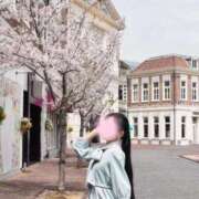 ヒメ日記 2026/04/10 11:32 投稿 せりな ご近所物語