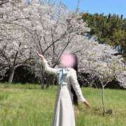 ヒメ日記 2026/04/11 10:31 投稿 せりな ご近所物語