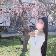 ヒメ日記 2026/04/11 12:18 投稿 せりな ご近所物語