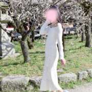 ヒメ日記 2026/04/11 16:04 投稿 せりな ご近所物語