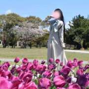 ヒメ日記 2026/04/12 12:14 投稿 せりな ご近所物語