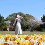 ヒメ日記 2026/04/12 14:26 投稿 せりな ご近所物語