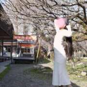 ヒメ日記 2026/04/12 18:37 投稿 せりな ご近所物語