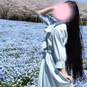 ヒメ日記 2026/04/13 10:40 投稿 せりな ご近所物語