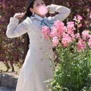 ヒメ日記 2026/04/13 11:56 投稿 せりな ご近所物語