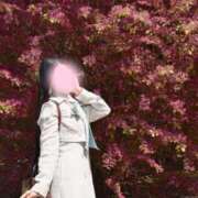 ヒメ日記 2026/04/13 19:58 投稿 せりな ご近所物語