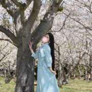 ヒメ日記 2026/04/14 13:46 投稿 せりな ご近所物語