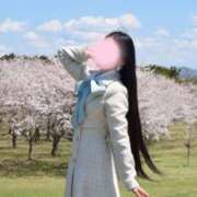 ヒメ日記 2026/04/15 10:42 投稿 せりな ご近所物語