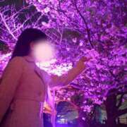 ヒメ日記 2026/04/17 20:24 投稿 せりな ご近所物語