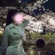 ヒメ日記 2026/04/18 00:03 投稿 せりな ご近所物語