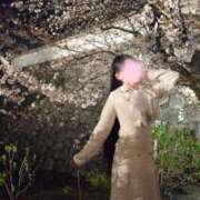 ヒメ日記 2026/04/18 01:21 投稿 せりな ご近所物語