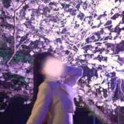 ヒメ日記 2026/04/20 22:19 投稿 せりな ご近所物語