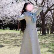 ヒメ日記 2026/04/27 11:50 投稿 せりな ご近所物語