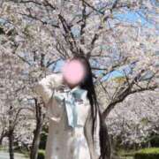 ヒメ日記 2026/05/06 10:08 投稿 せりな ご近所物語