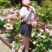 ヒメ日記 2026/05/17 18:17 投稿 せりな ご近所物語
