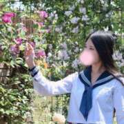 ヒメ日記 2026/06/04 19:28 投稿 せりな ご近所物語