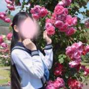 ヒメ日記 2026/06/07 01:13 投稿 せりな ご近所物語