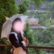 ヒメ日記 2026/07/01 10:05 投稿 せりな ご近所物語