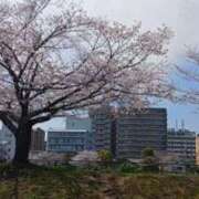 ヒメ日記 2026/04/03 21:31 投稿 つばさ ご近所物語