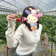 ヒメ日記 2026/03/05 12:39 投稿 のん メルビス＆アトリアーナ