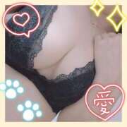 ヒメ日記 2026/08/09 16:37 投稿 ニコ Celeb Garden(セレブガーデン)