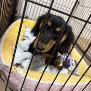 ヒメ日記 2026/02/23 11:52 投稿 ことり【梅田堂山女学院】 梅田堂山女学院