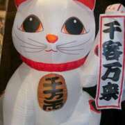 ヒメ日記 2026/01/09 15:34 投稿 はすみ 出会い系人妻ネットワーク 春日部〜岩槻編