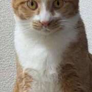 はる おはよー エマニエル