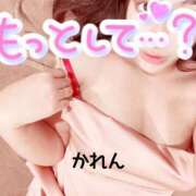 ヒメ日記 2026/03/19 18:29 投稿 かれん 新宿プチドール