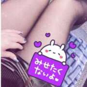 ヒメ日記 2026/01/23 12:16 投稿 つばき club さくら日本橋店