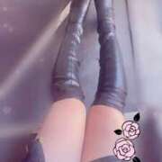 ヒメ日記 2026/02/04 12:46 投稿 つばき club さくら日本橋店