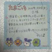 せいら 1/8 お礼♡ 西船人妻花壇