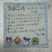 ヒメ日記 2026/01/15 20:42 投稿 せいら 西船人妻花壇