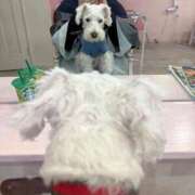 ヒメ日記 2026/01/16 09:27 投稿 せいら 西船人妻花壇