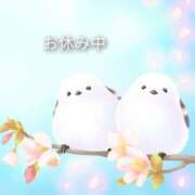 ヒメ日記 2026/01/17 10:00 投稿 小柄美乳こころ 嗚呼、四十五歳以上