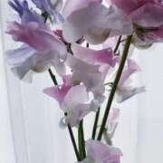 ヒメ日記 2026/02/25 19:46 投稿 高サービス妻えりな 嗚呼、四十五歳以上