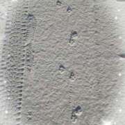 ヒメ日記 2026/01/12 09:58 投稿 不動の人気嬢さくら 嗚呼、四十五歳以上