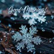 ヒメ日記 2026/01/22 06:58 投稿 不動の人気嬢さくら 嗚呼、四十五歳以上