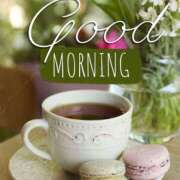 ヒメ日記 2026/01/27 05:32 投稿 不動の人気嬢さくら 嗚呼、四十五歳以上