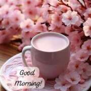 ヒメ日記 2026/02/09 06:38 投稿 不動の人気嬢さくら 嗚呼、四十五歳以上