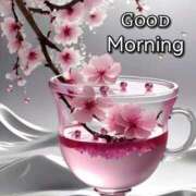 ヒメ日記 2026/02/20 05:06 投稿 不動の人気嬢さくら 嗚呼、四十五歳以上