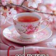 ヒメ日記 2026/02/21 05:27 投稿 不動の人気嬢さくら 嗚呼、四十五歳以上