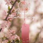 ヒメ日記 2026/02/22 07:12 投稿 不動の人気嬢さくら 嗚呼、四十五歳以上