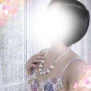 ヒメ日記 2026/02/22 13:41 投稿 不動の人気嬢さくら 嗚呼、四十五歳以上