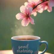 ヒメ日記 2026/02/23 05:23 投稿 不動の人気嬢さくら 嗚呼、四十五歳以上