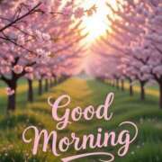 ヒメ日記 2026/02/24 05:33 投稿 不動の人気嬢さくら 嗚呼、四十五歳以上