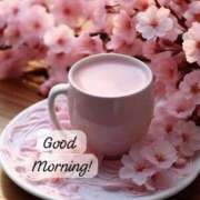 ヒメ日記 2026/02/25 05:38 投稿 不動の人気嬢さくら 嗚呼、四十五歳以上