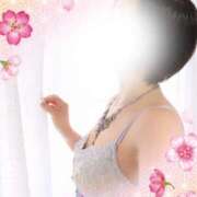 ヒメ日記 2026/02/25 08:15 投稿 不動の人気嬢さくら 嗚呼、四十五歳以上