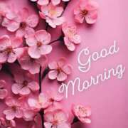 ヒメ日記 2026/03/03 05:44 投稿 不動の人気嬢さくら 嗚呼、四十五歳以上