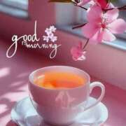 ヒメ日記 2026/03/06 05:44 投稿 不動の人気嬢さくら 嗚呼、四十五歳以上